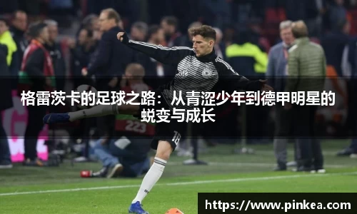 彩神VI首页官网