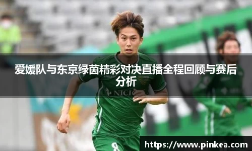 彩神VI首页官网