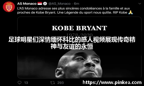 彩神VI首页官网